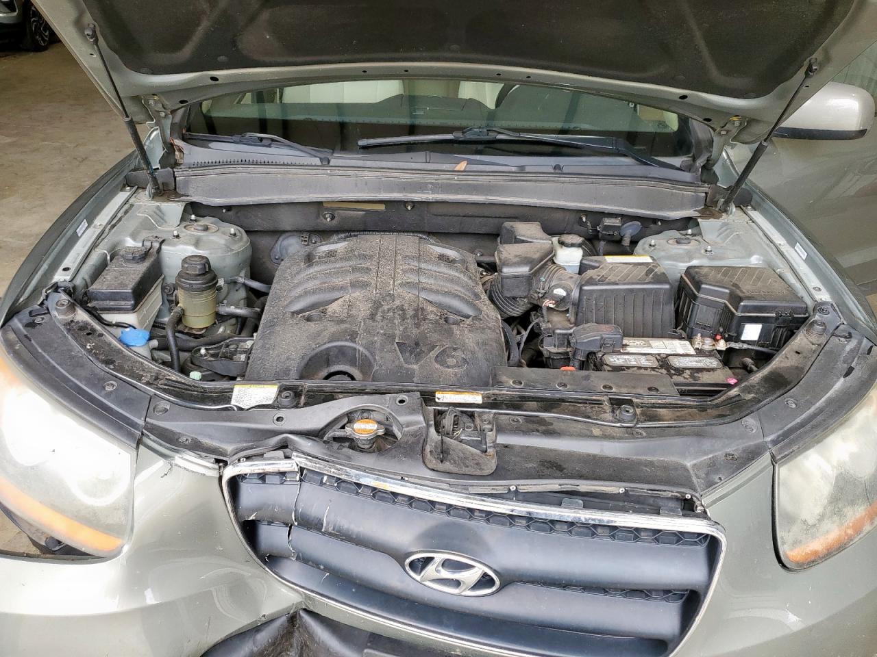 2009 Hyundai Santa Fe Se VIN: 5NMSH13E59H244237 Lot: 65388535