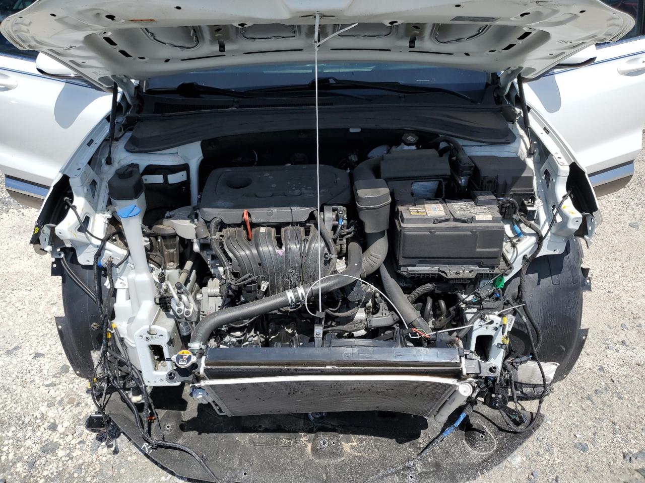 2019 Hyundai Santa Fe Sel VIN: 5NMS33AD1KH087302 Lot: 65265015