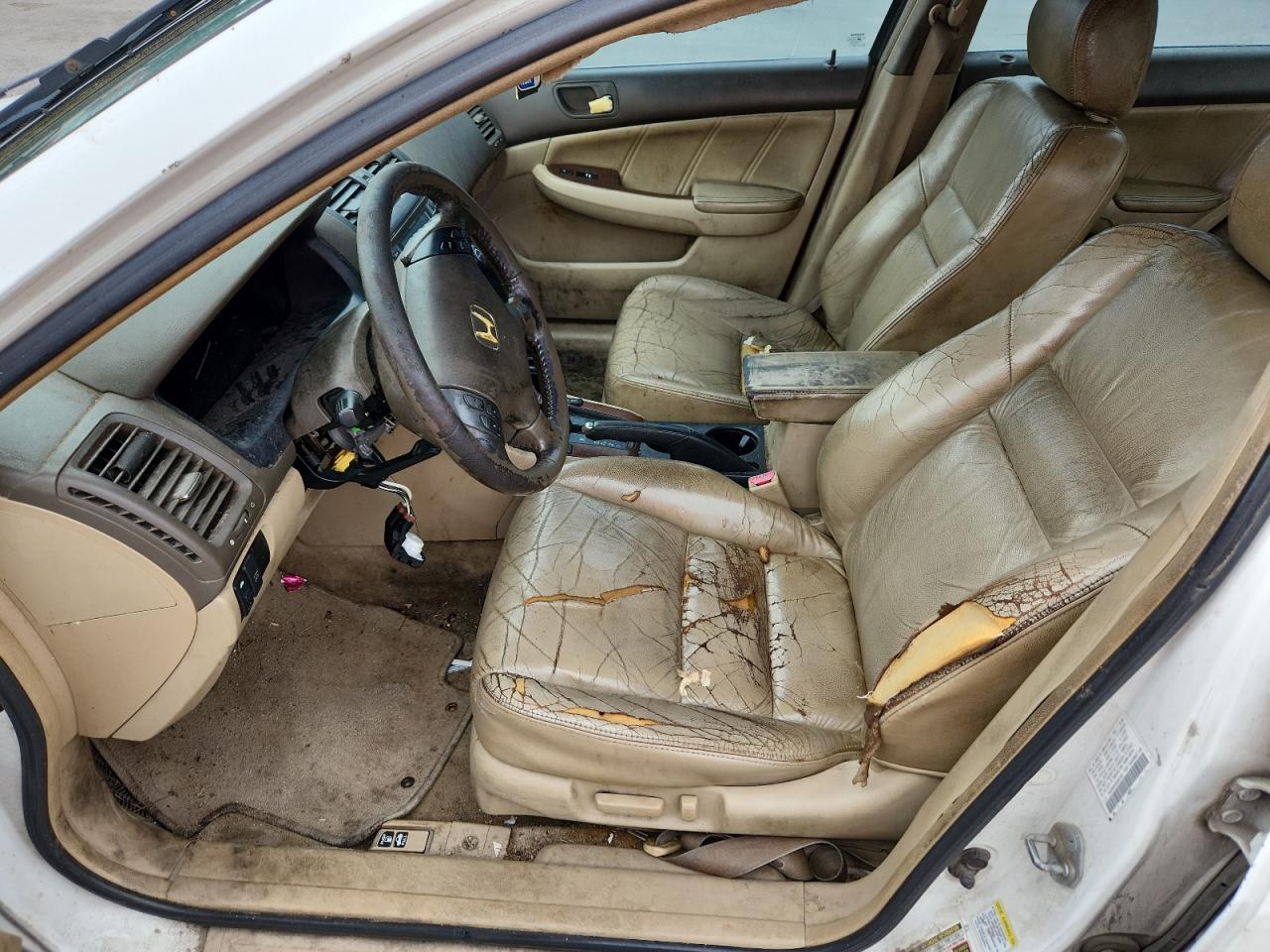 2006 Honda Accord Ex VIN: 1HGCM66546A000336 Lot: 64178625