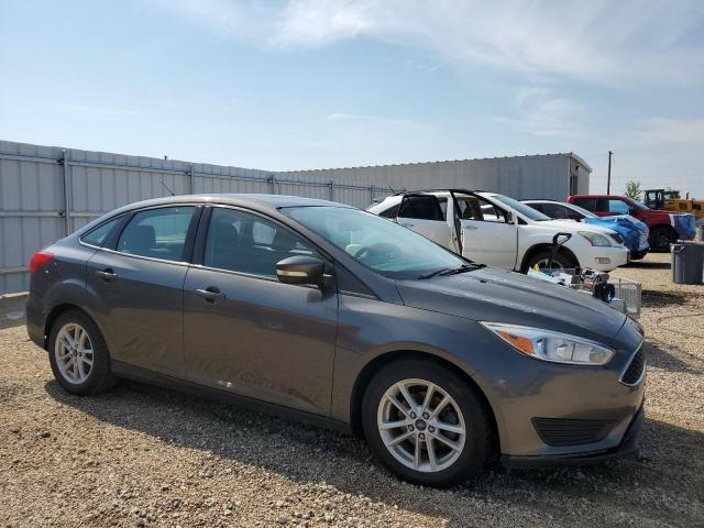 Sedans FORD FOCUS 2015 Gray