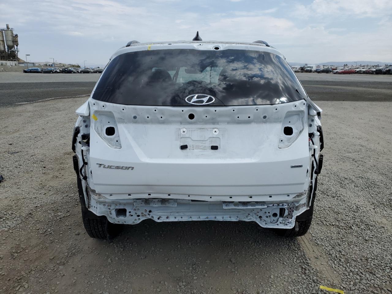 2023 Hyundai Tucson Sel VIN: 5NMJBCAE5PH263086 Lot: 65368145