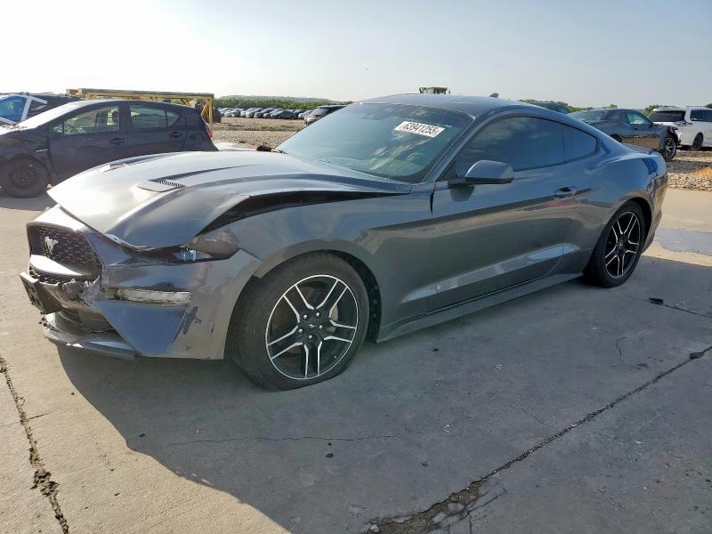  FORD ALL Models 2023 Szary