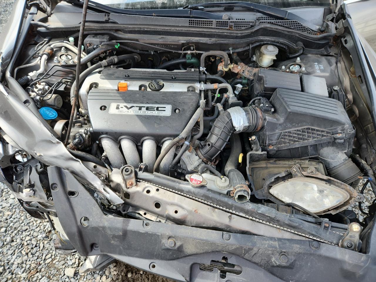 2006 Honda Accord Ex VIN: 1HGCM56836A177593 Lot: 63880095