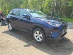 2019 TOYOTA RAV4 XLE   for sale at Copart ON - COOKSTOWN