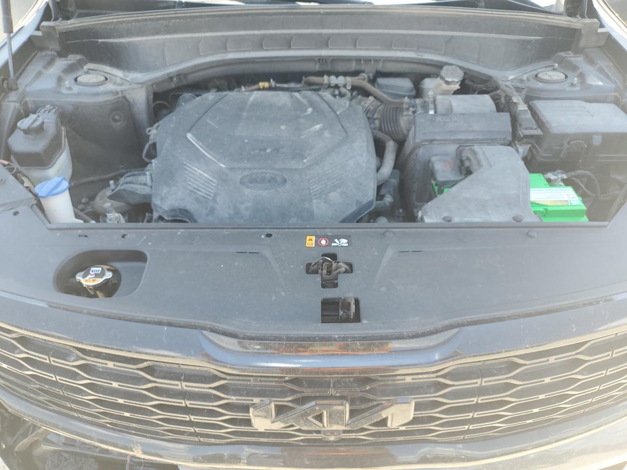 2020 Kia Telluride Sx VIN: 5XYP5DHC7LG079977 Lot: 63202695