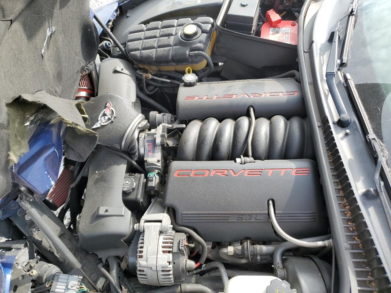 2004 Chevrolet Corvette VIN: 1G1YY22G345103254 Lot: 66917175