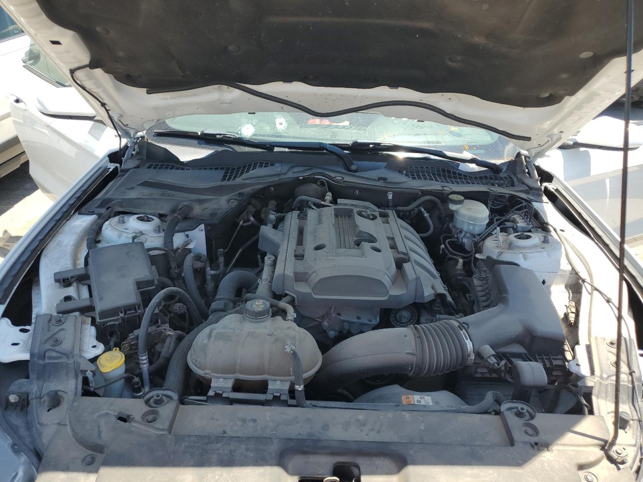 2016 Ford Mustang VIN: 1FA6P8TH4G5278988 Lot: 63732995