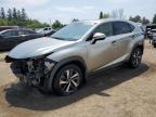 2021 LEXUS NX 300 BASE   for sale at Copart ON - TORONTO