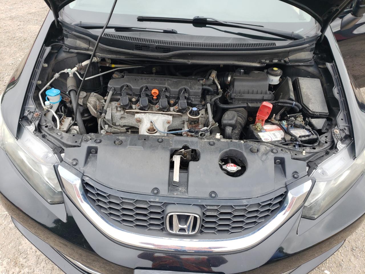 2015 Honda Civic Lx VIN: 2HGFB2F43FH009825 Lot: 64952175