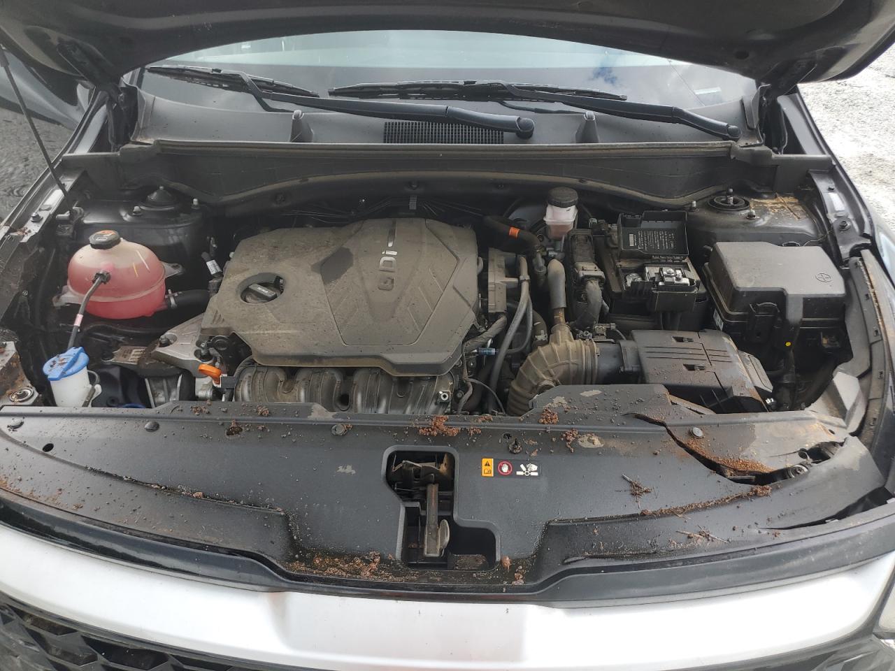5xyk33afxpg120736 5XYK33AFXPG120736 2023 Kia Sportage Ex