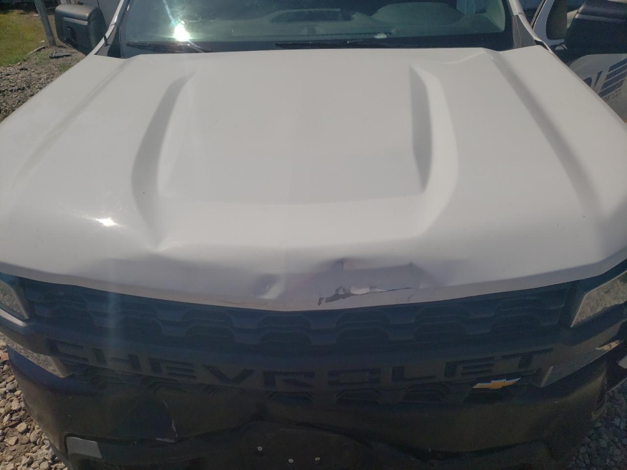 2021 Chevrolet Silverado K1500 VIN: 3GCNYAEH8MG202086 Lot: 65517195