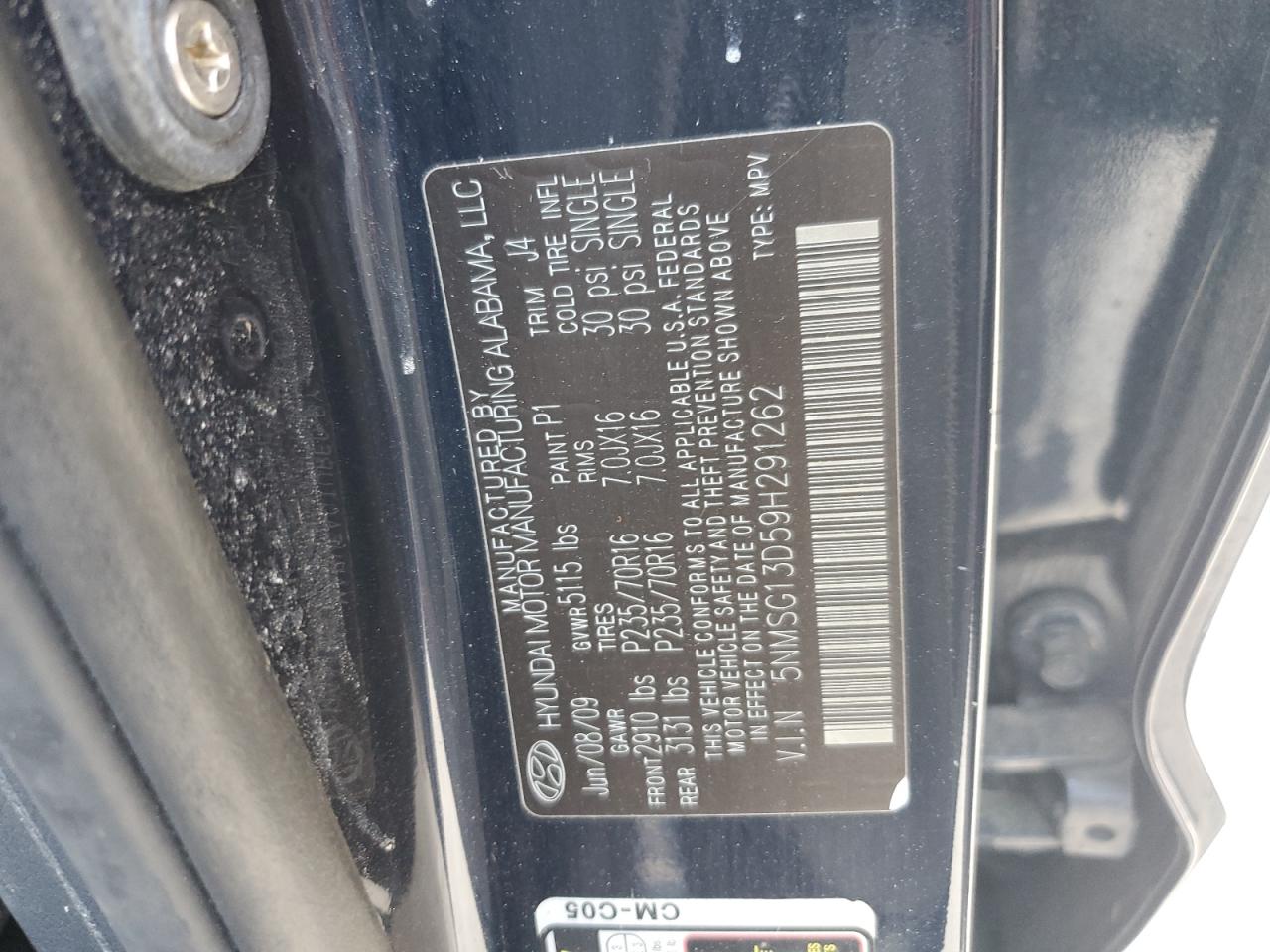 5NMSG13D59H291262 2009 Hyundai Santa Fe Gls