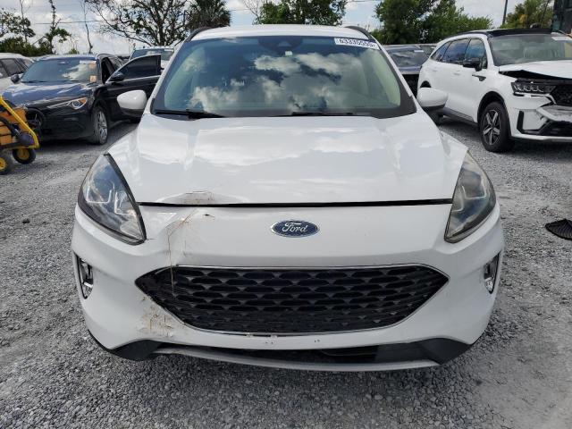  FORD ESCAPE 2020 Белы