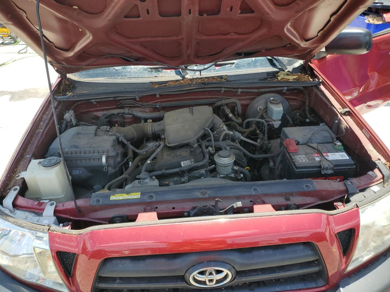 2008 Toyota Tacoma VIN: 5TENX22N48Z492274 Lot: 62117585