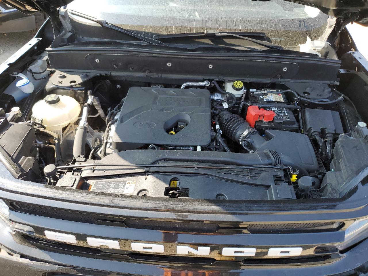 2021 Ford Bronco Sport Outer Banks VIN: 3FMCR9C66MRA25106 Lot: 64630405