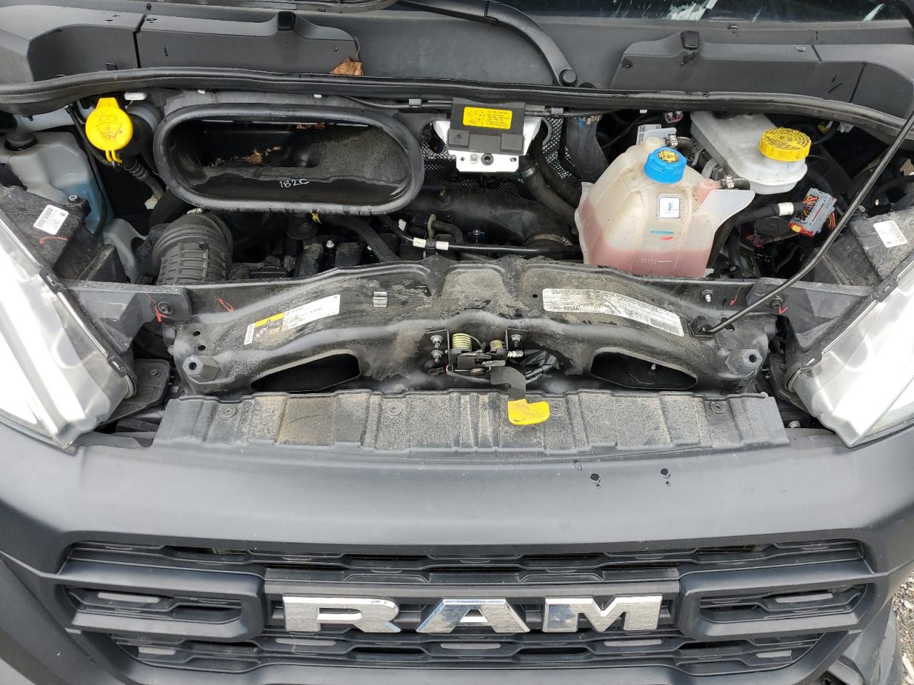 2023 Ram Promaster 2500 2500 High VIN: 3C6LRVDG7PE566950 Lot: 64779405