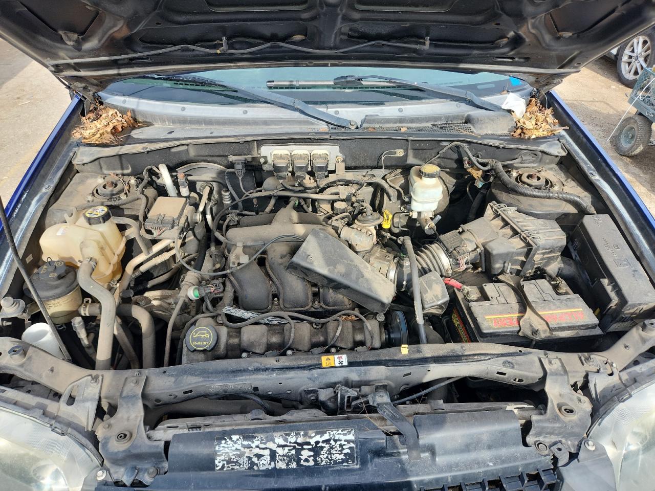 2006 Ford Escape Xlt VIN: 1FMYU03106KA38980 Lot: 63512255