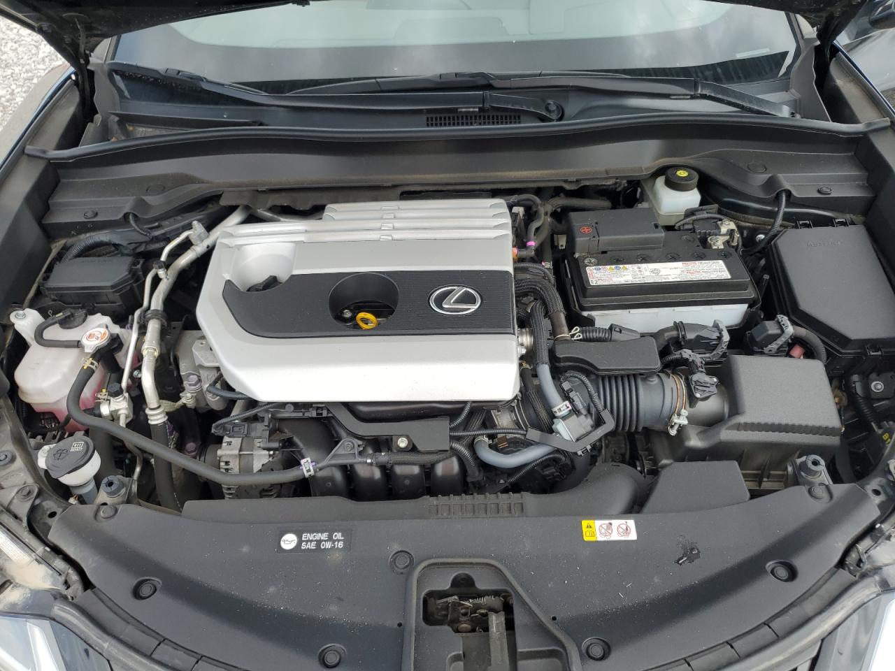 2020 Lexus Ux 200 VIN: JTHP3JBH9L2029616 Lot: 64362265