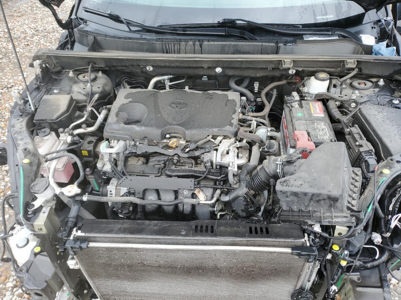 2021 Toyota Rav4 Xle VIN: 2T3P1RFV5MC198483 Lot: 62845295