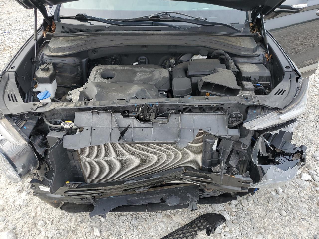 2020 Hyundai Santa Fe Limited VIN: 5NMS53AD7LH245413 Lot: 63982735