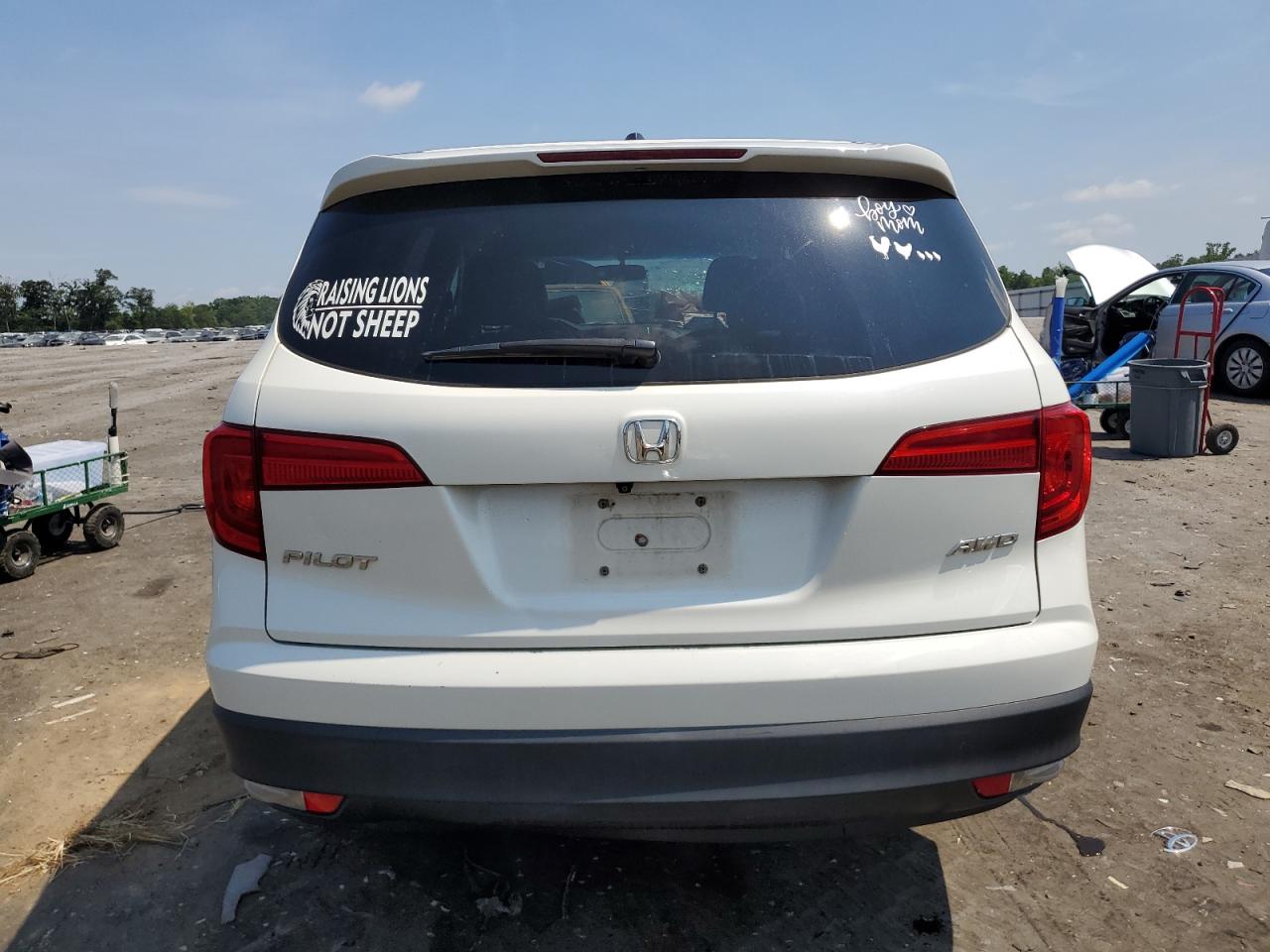 2018 Honda Pilot Exl VIN: 5FNYF6H58JB024733 Lot: 63271575