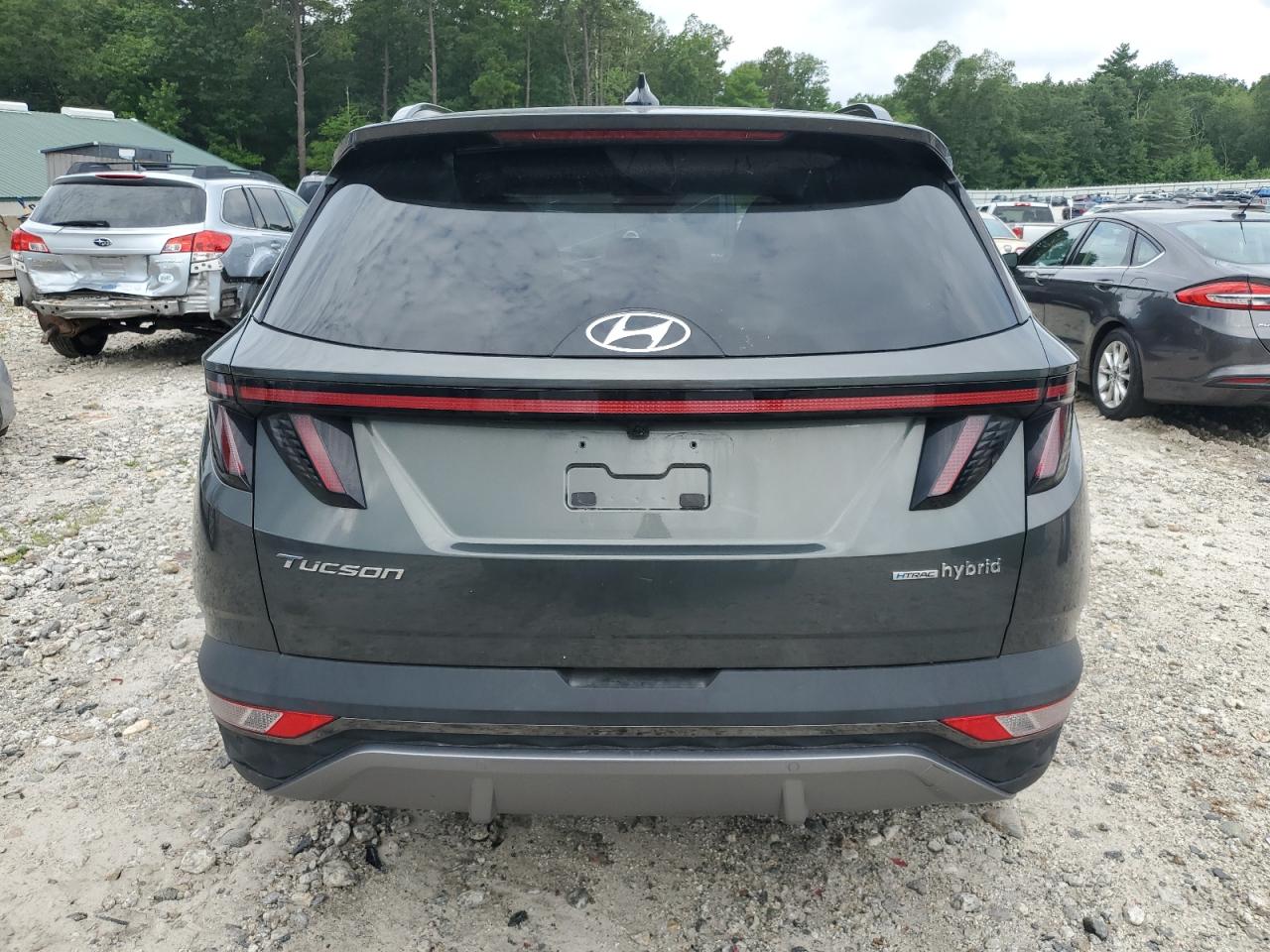 2024 Hyundai Tucson Limited VIN: KM8JECD11RU230478 Lot: 63561615