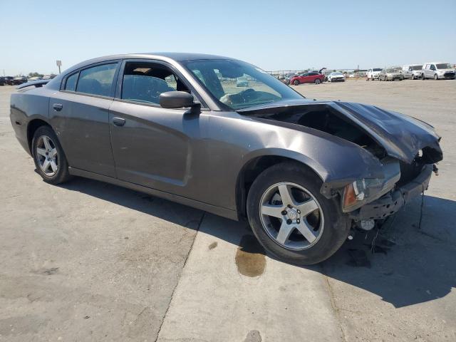  DODGE CHARGER 2014 Gray