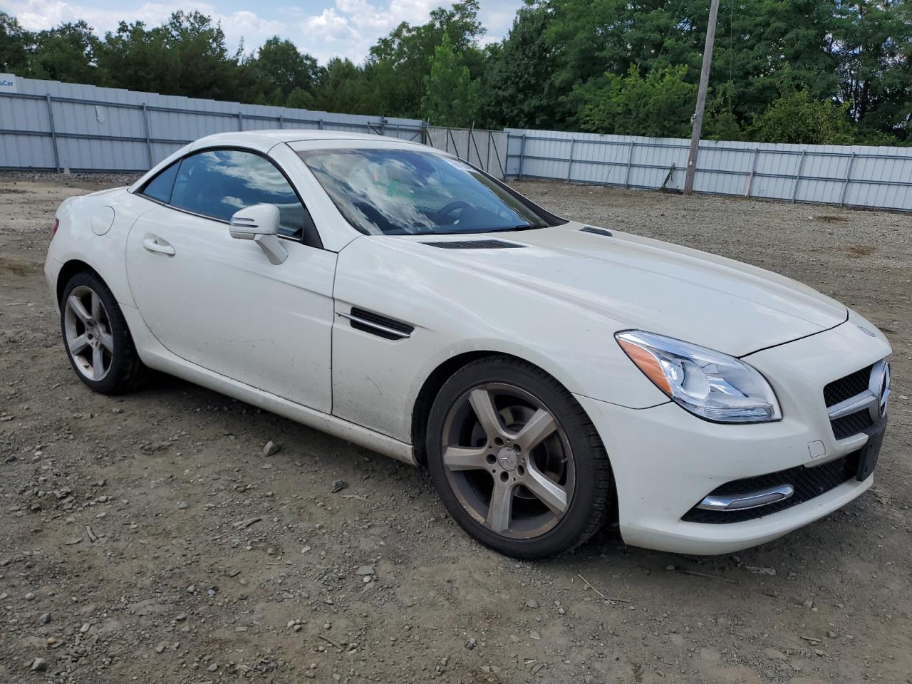 2012 Mercedes-Benz Slk 250 VIN: WDDPK4HA6CF038028 Lot: 66120405