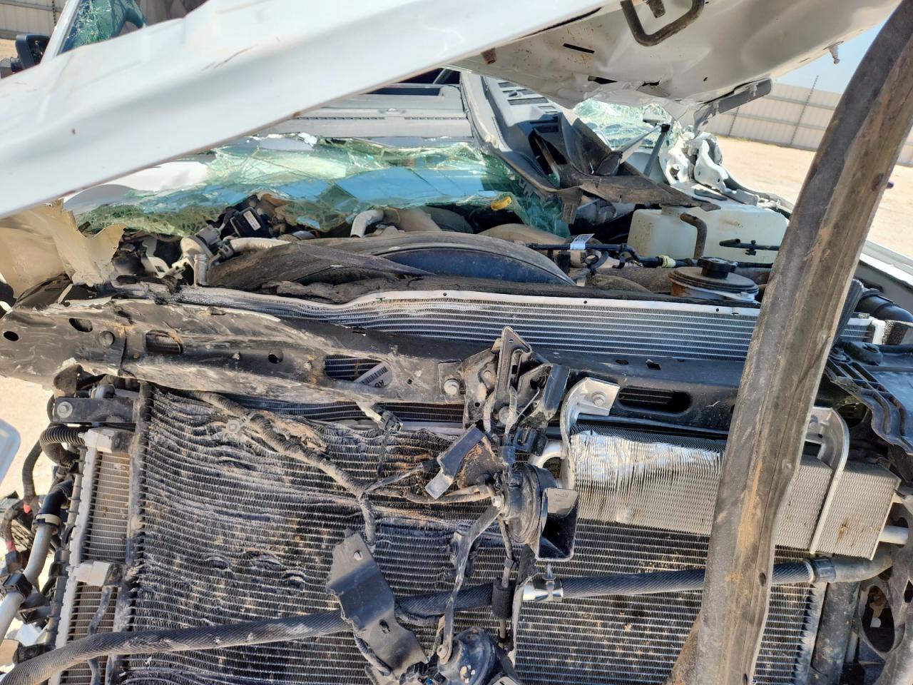 2024 Ford F250 Super Duty VIN: 1FT7W2BT3REF54522 Lot: 64511905