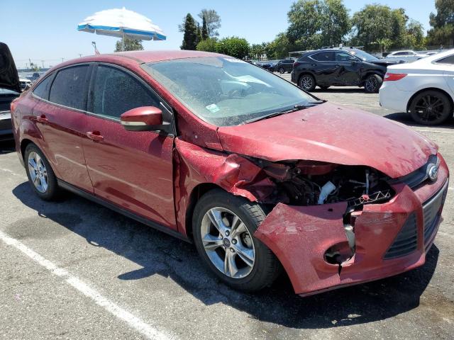  FORD FOCUS 2014 Burgundy
