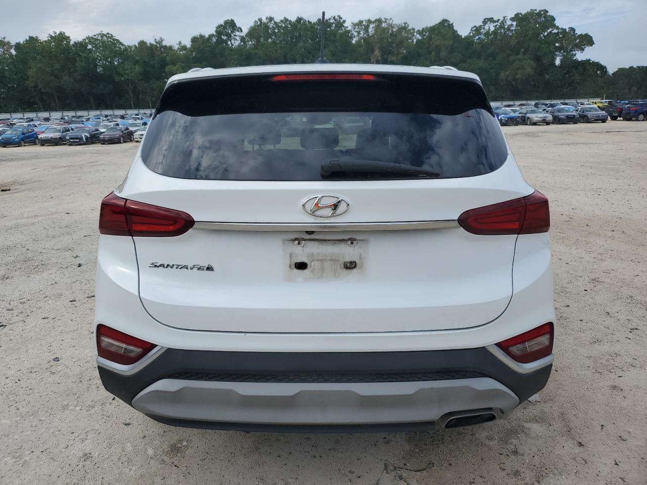 2020 Hyundai Santa Fe Se VIN: 5NMS23AD8LH178717 Lot: 64889735