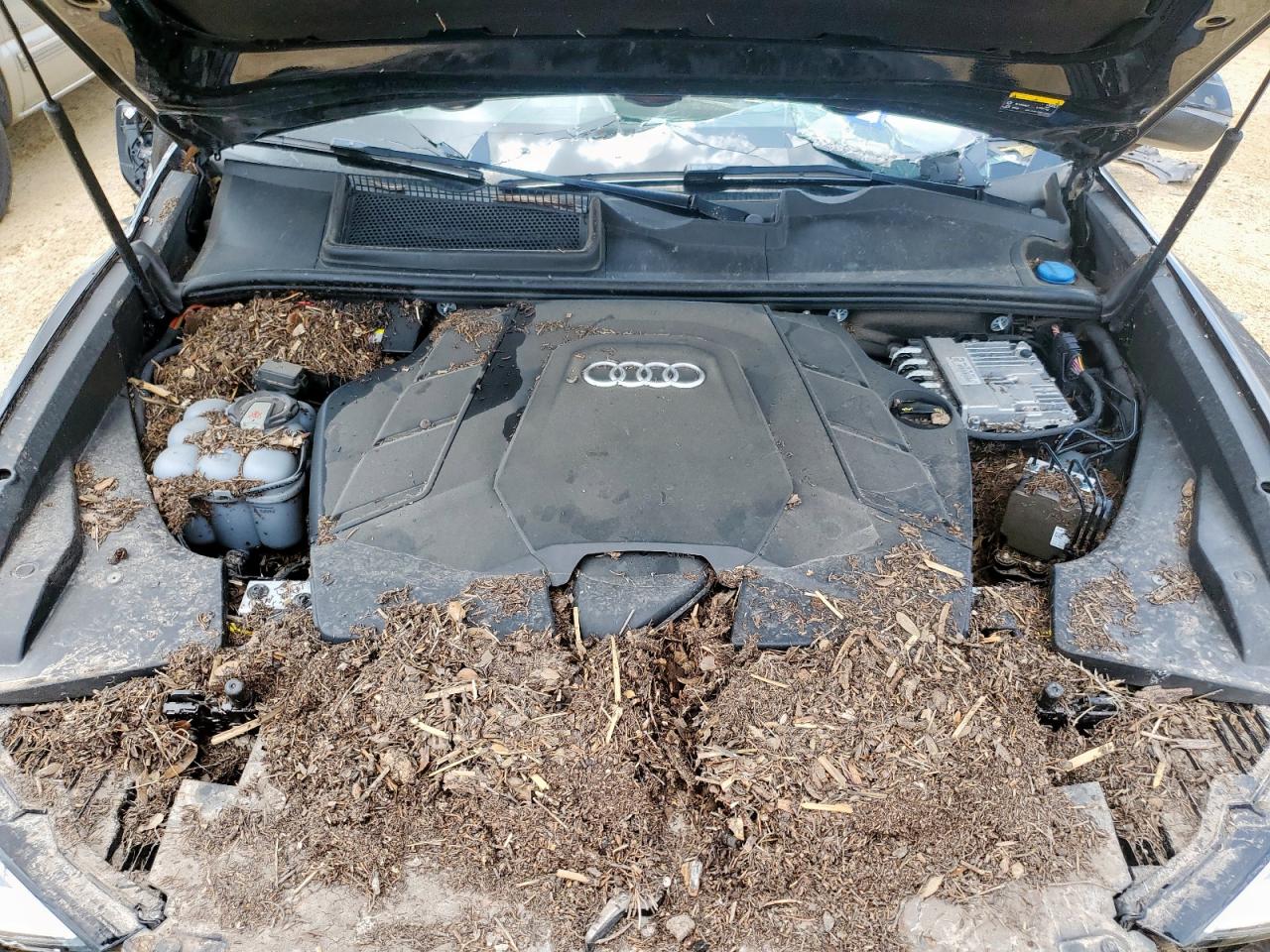2020 Audi Q8 Premium VIN: WA1AVAF16LD015296 Lot: 64419085