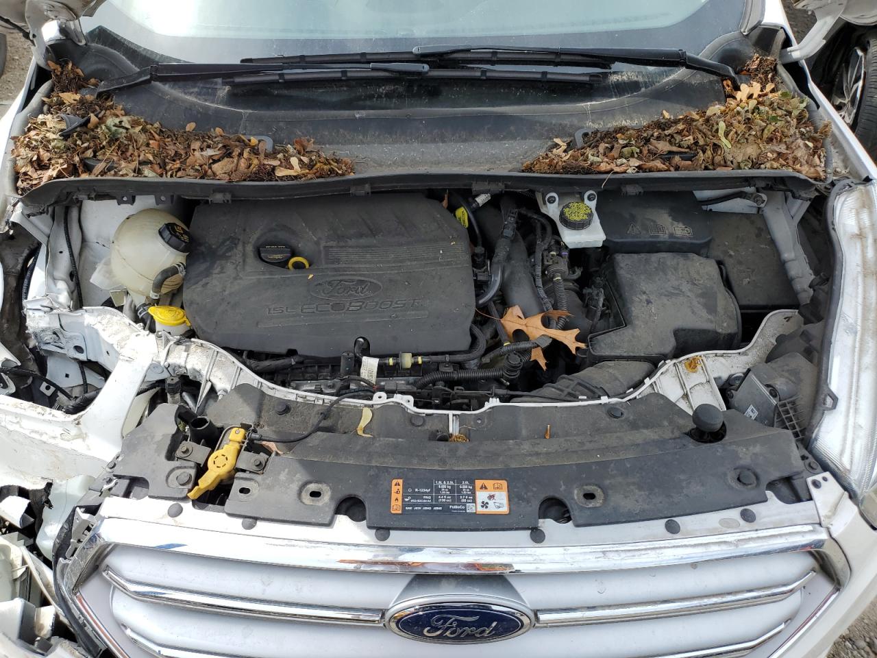 2017 Ford Escape Titanium VIN: 1FMCU0JD3HUC64798 Lot: 64856405