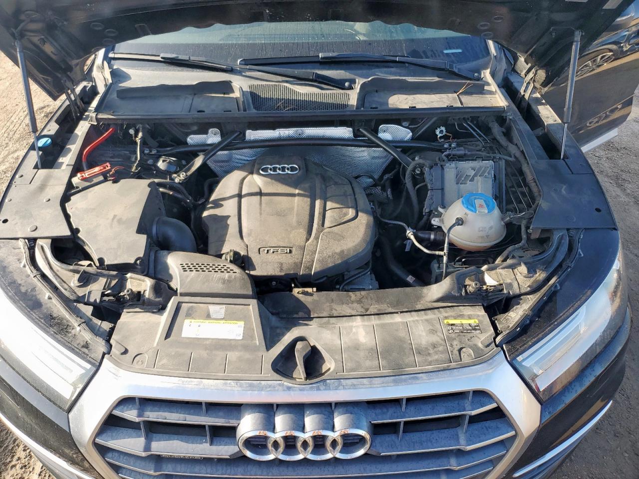 2018 Audi Q5 Premium Plus VIN: WA1BNAFY8J2003516 Lot: 64560245