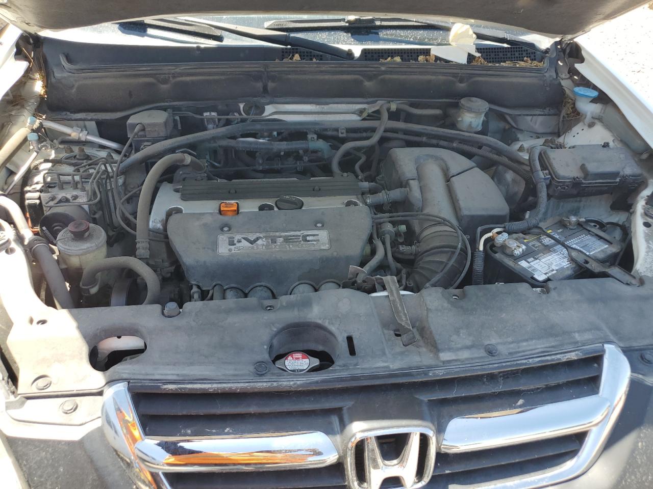2004 Honda Cr-V Ex VIN: JHLRD78894C038526 Lot: 63674845