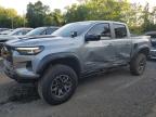 2025 CHEVROLET COLORADO ZR2   for sale at Copart NY - NEWBURGH