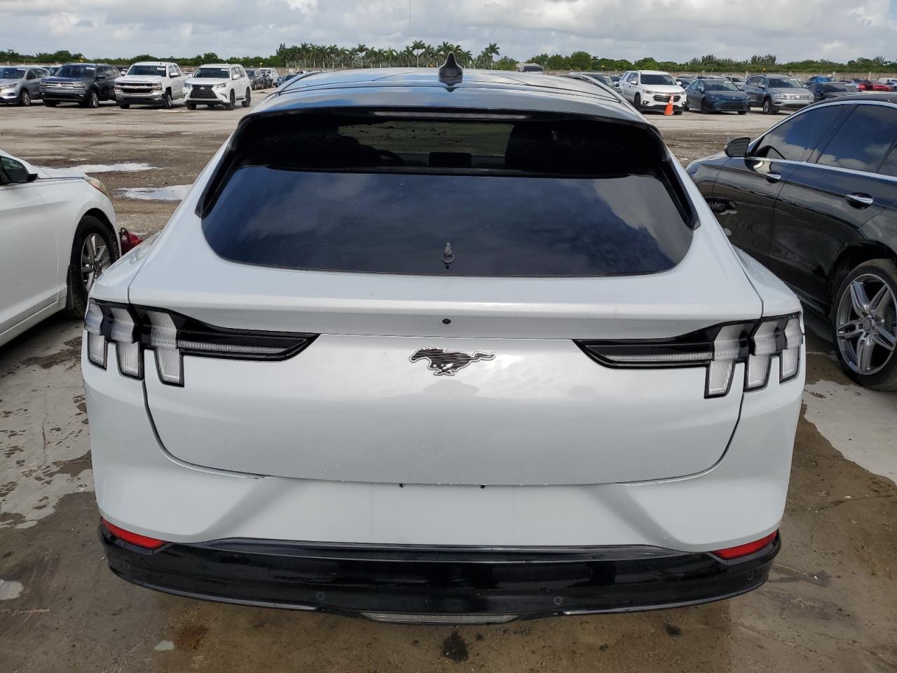 2023 Ford Mustang Mach-E Premium VIN: 3FMTK3SU8PMA83625 Lot: 65212915