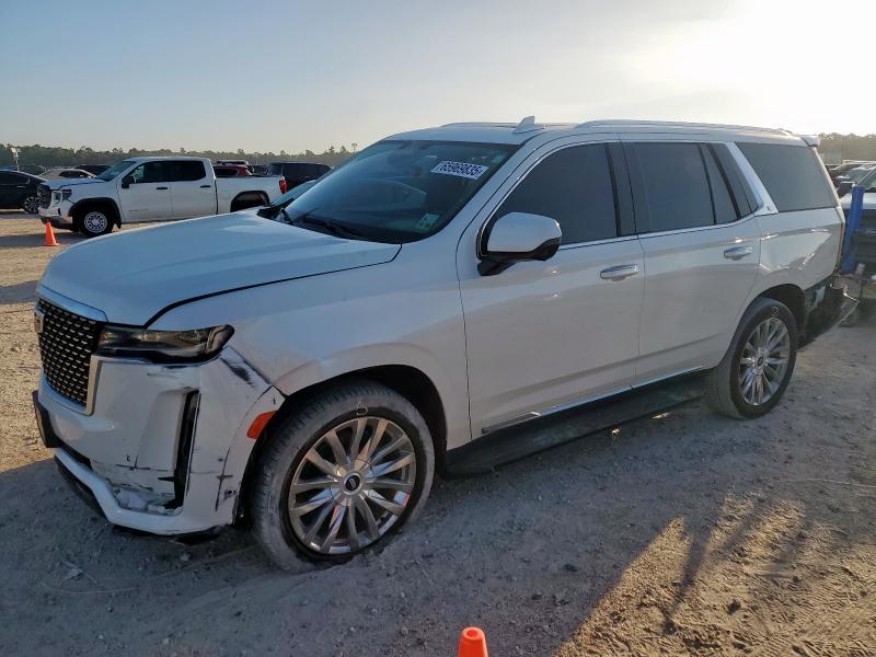  CADILLAC ESCALADE 2021 Белы