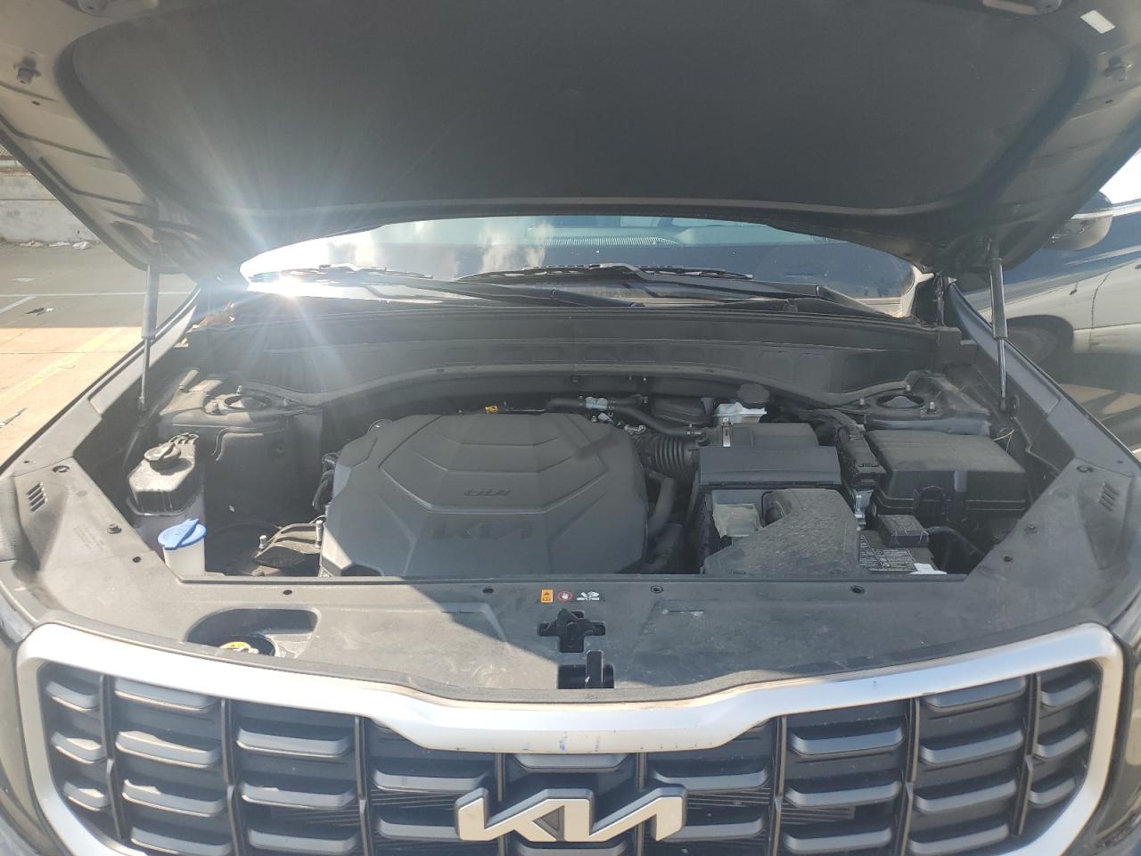 2024 Kia Telluride S VIN: 5XYP6DGC3RG516672 Lot: 66497835