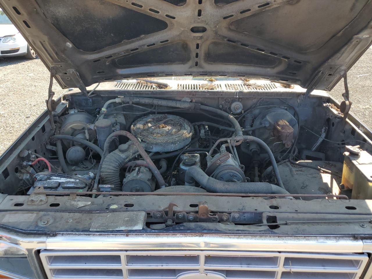 1985 Ford F150 VIN: 1FTEF14YXFPB36520 Lot: 63634675