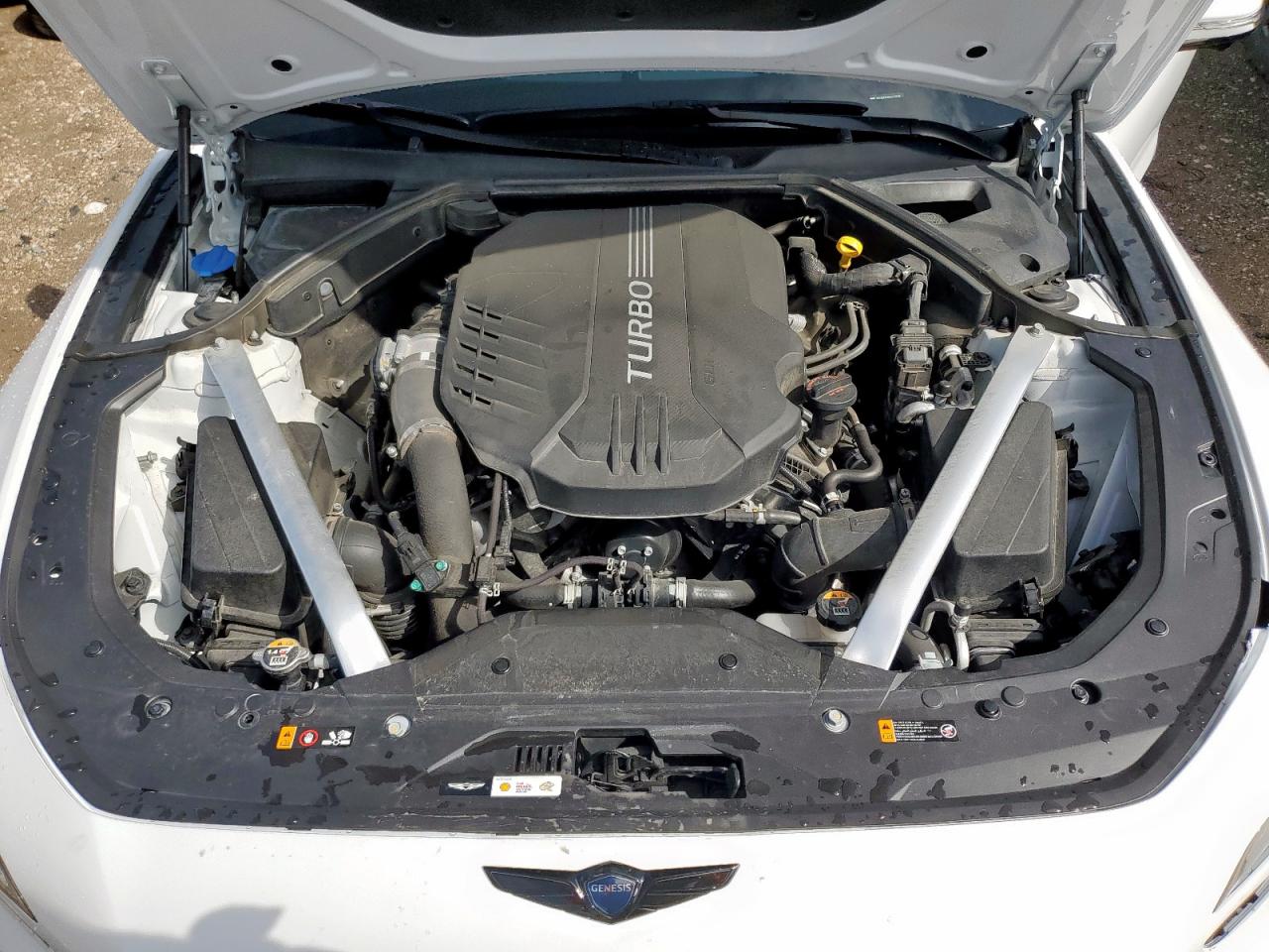 2023 Genesis G70 Base VIN: KMTG54TE6PU113535 Lot: 63616065