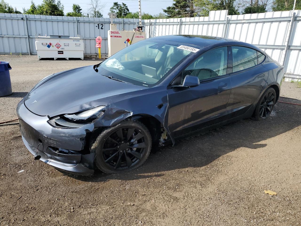 2021 Tesla Model 3 VIN: 5YJ3E1EA5MF982265 Lot: 65466185