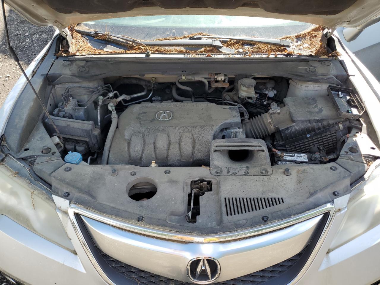 2013 Acura Rdx Technology VIN: 5J8TB4H51DL006071 Lot: 63165105