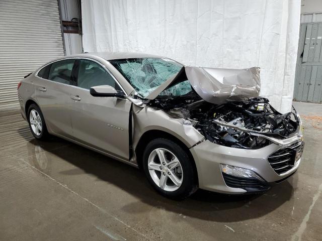  CHEVROLET MALIBU 2024 tan