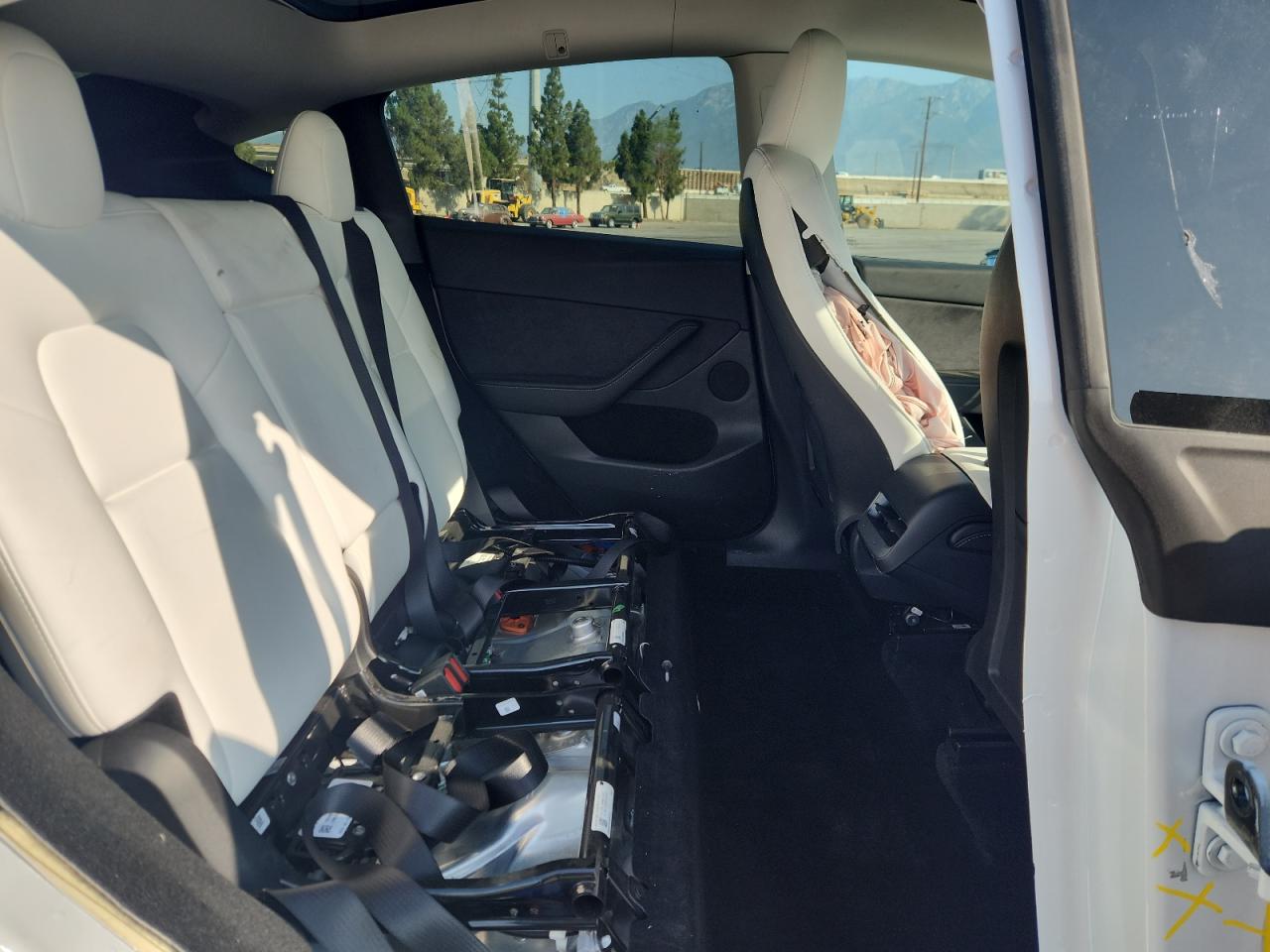 2024 Tesla Model Y VIN: 7SAYGDED6RF167241 Lot: 64602305