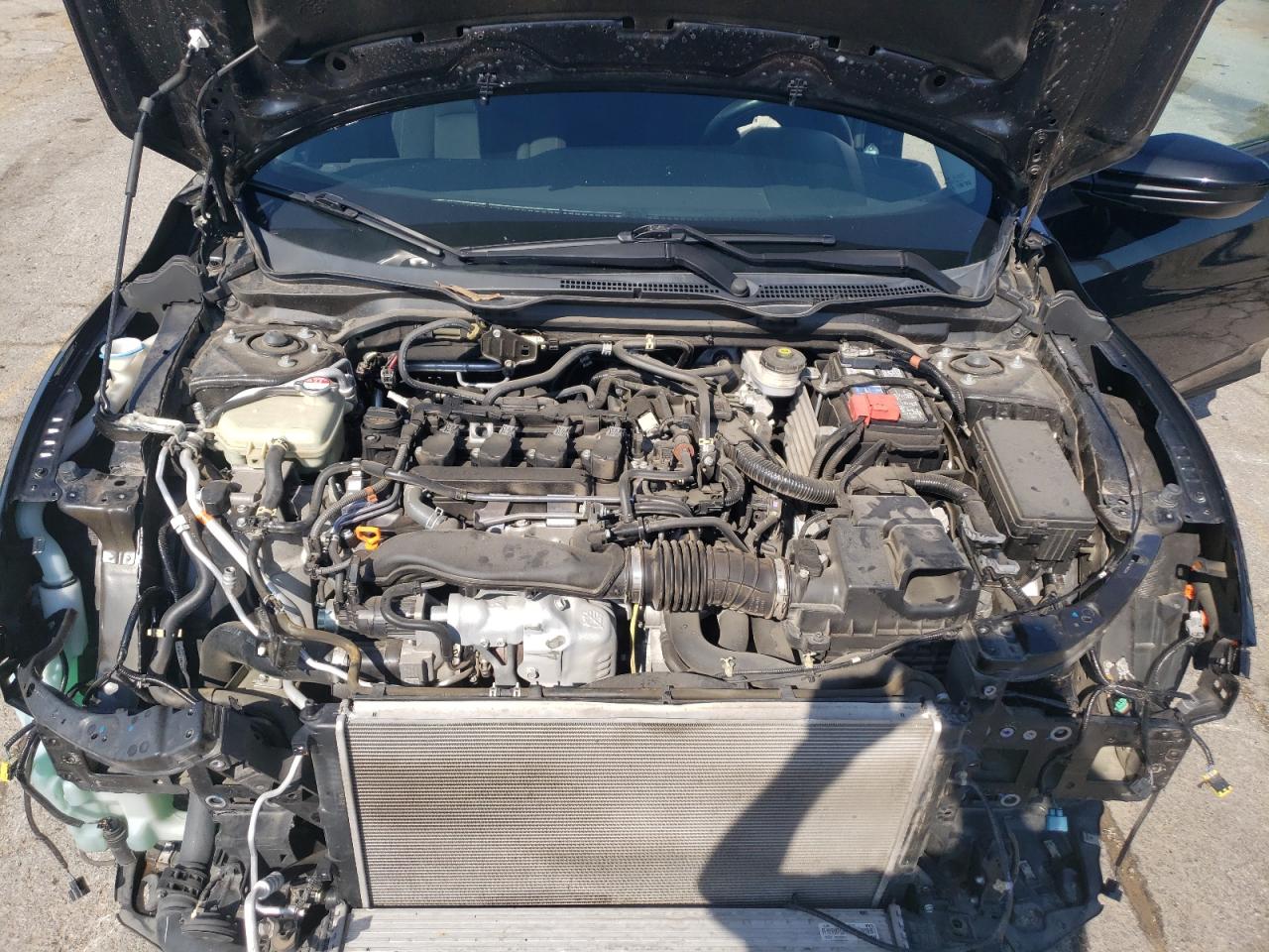 2021 Honda Civic Ex VIN: 19XFC1F38ME008305 Lot: 66041835