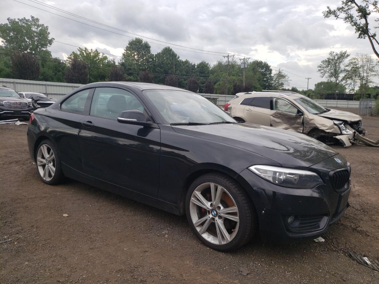 2015 BMW 228 Xi VIN: WBA1F7C56FVX96295 Lot: 65166865