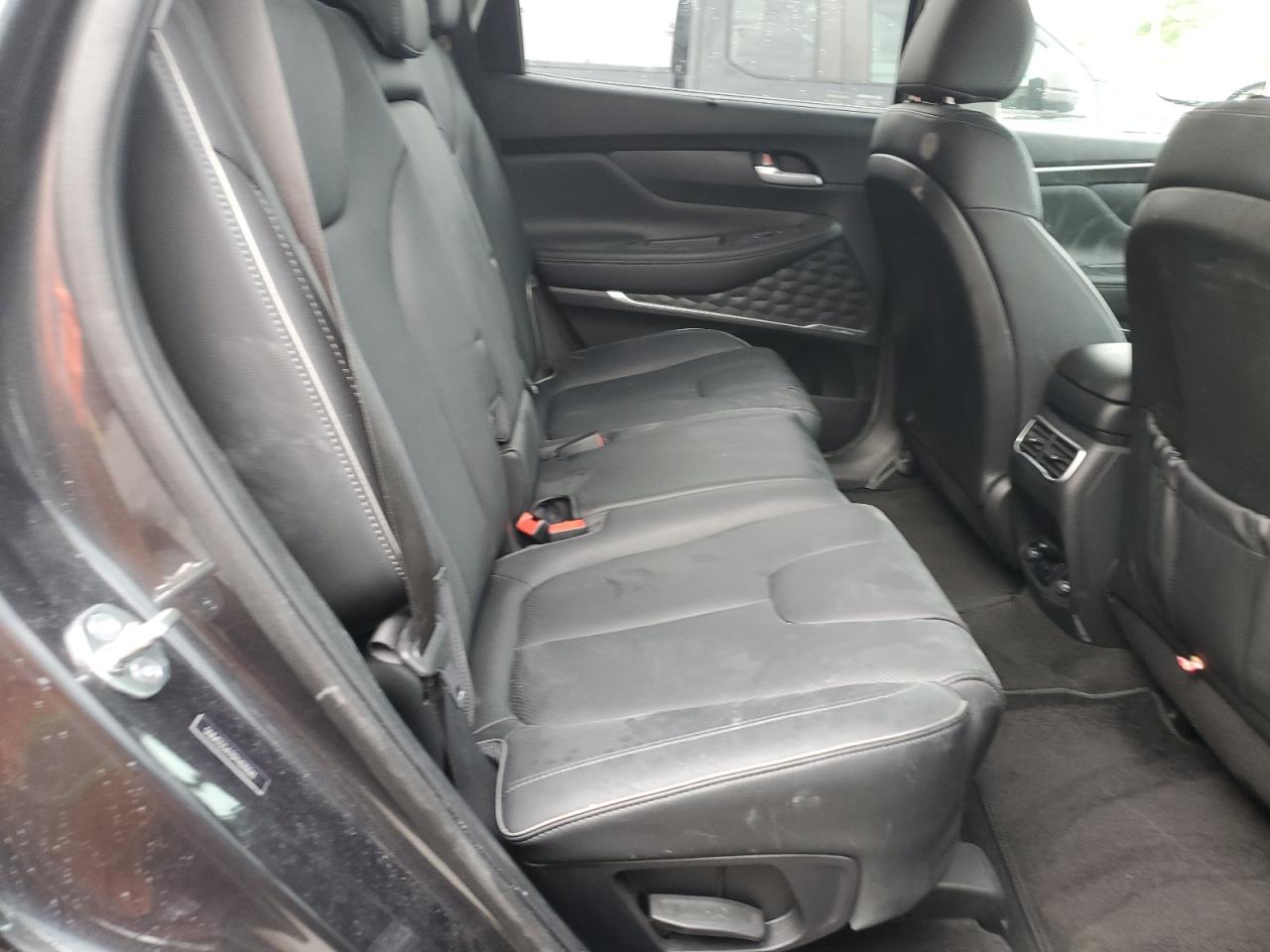 2023 Hyundai Santa Fe Limited VIN: 5NMS5DA13PH010041 Lot: 65242175