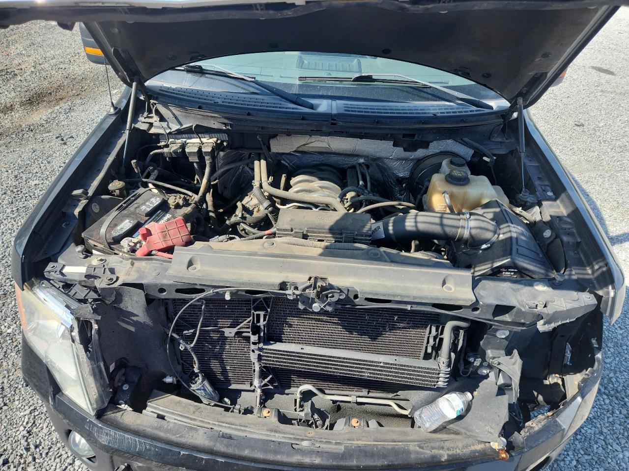 2013 Ford F150 Supercrew VIN: 1FTFW1CF5DFA21671 Lot: 62001615