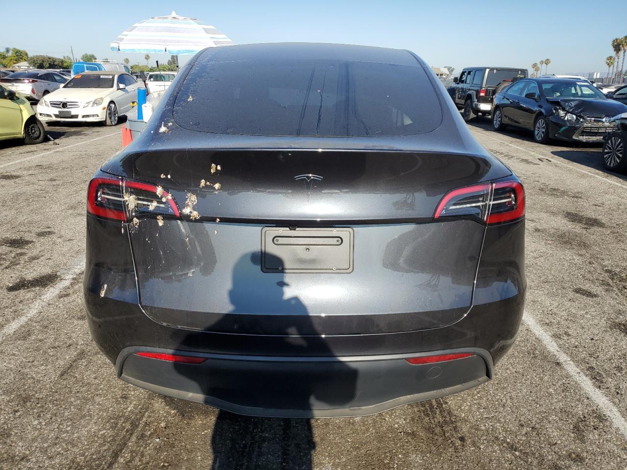 2025 Tesla Model Y VIN: 7SAYGDED2SF311146 Lot: 63065755